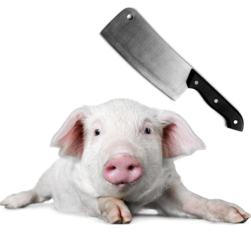 Killed by a scam: A father took his life after losing his savings to international criminal gangs. He’s not the only one